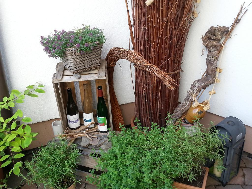 Ferienwohnung Weingut Ackermann Zeltingen-Rachtig Exterior foto